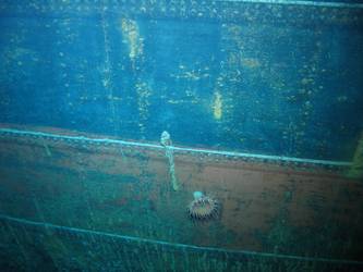 Ship's side in vicinity of well deck